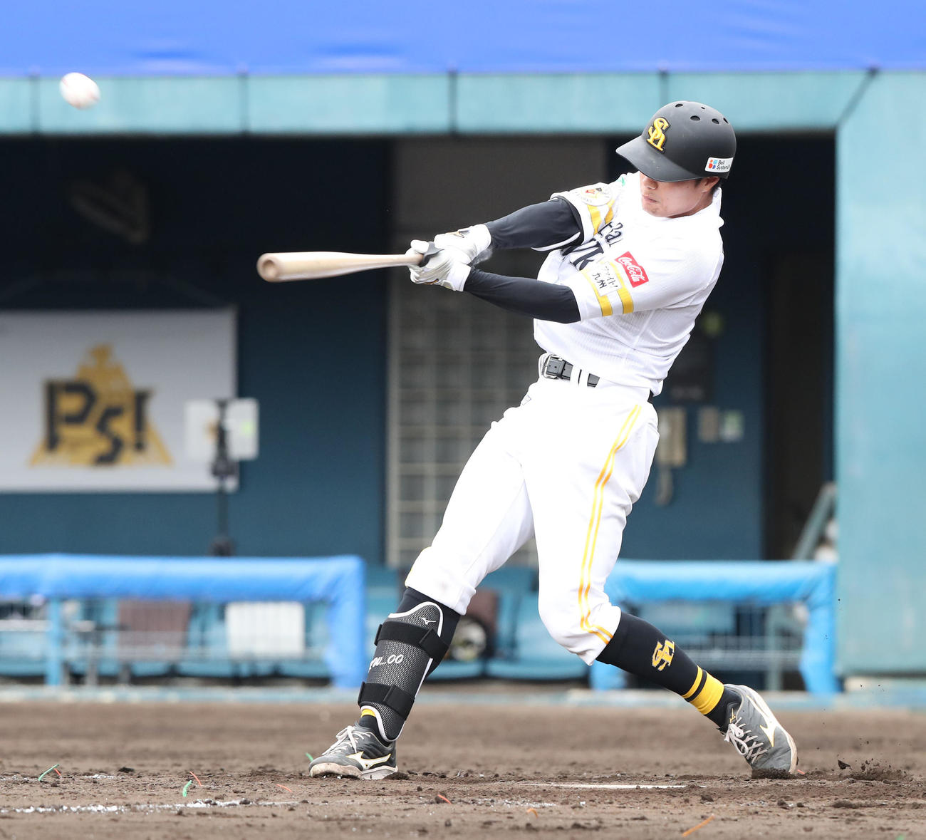 紅白戦　5回裏白1死、渡辺は右越え本塁打を放つ（撮影・梅根麻紀）