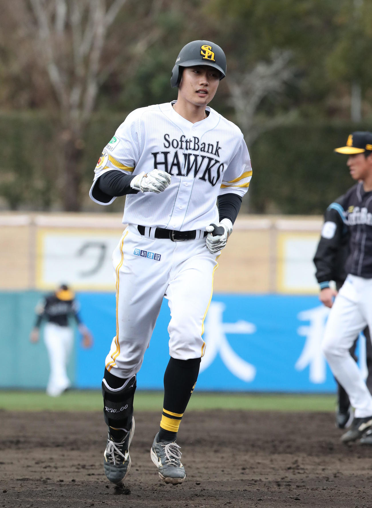 紅白戦　5回裏白1死、渡辺は右越え本塁打を放つ（撮影・梅根麻紀）