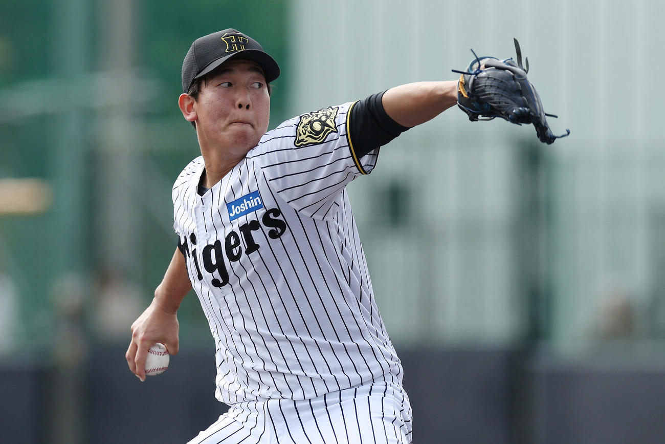 阪神対楽天　力投する阪神3番手の畠（撮影・前田充）