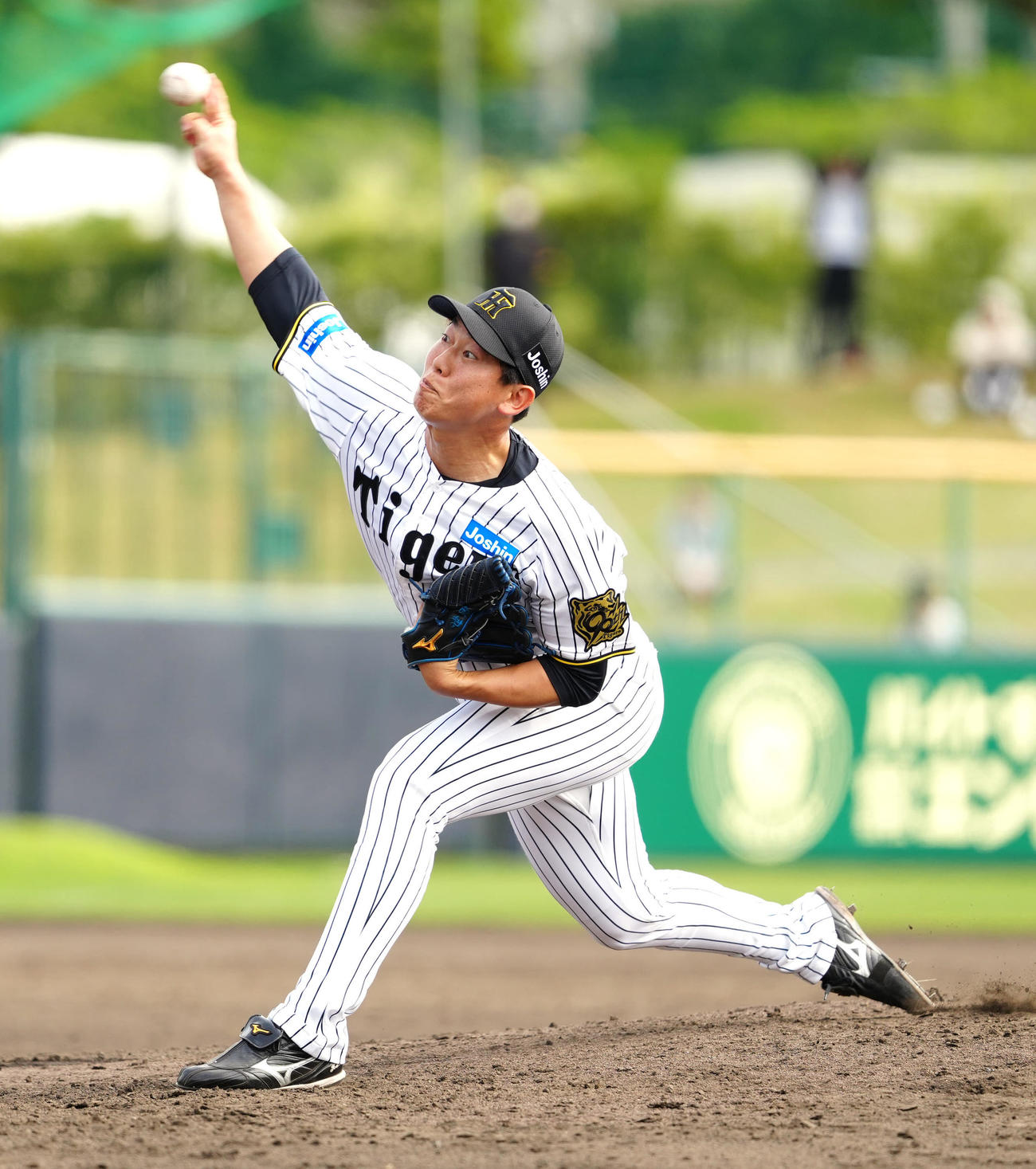 阪神対楽天　阪神3番手の畠（撮影・江口和貴）