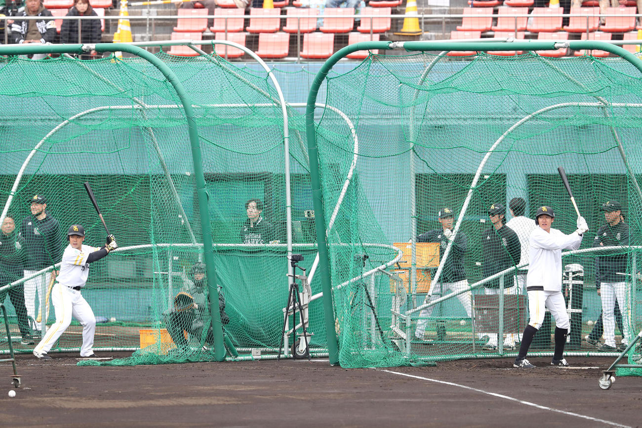 打撃練習を行う近藤、右のゲージは柳田（撮影・梅根麻紀）