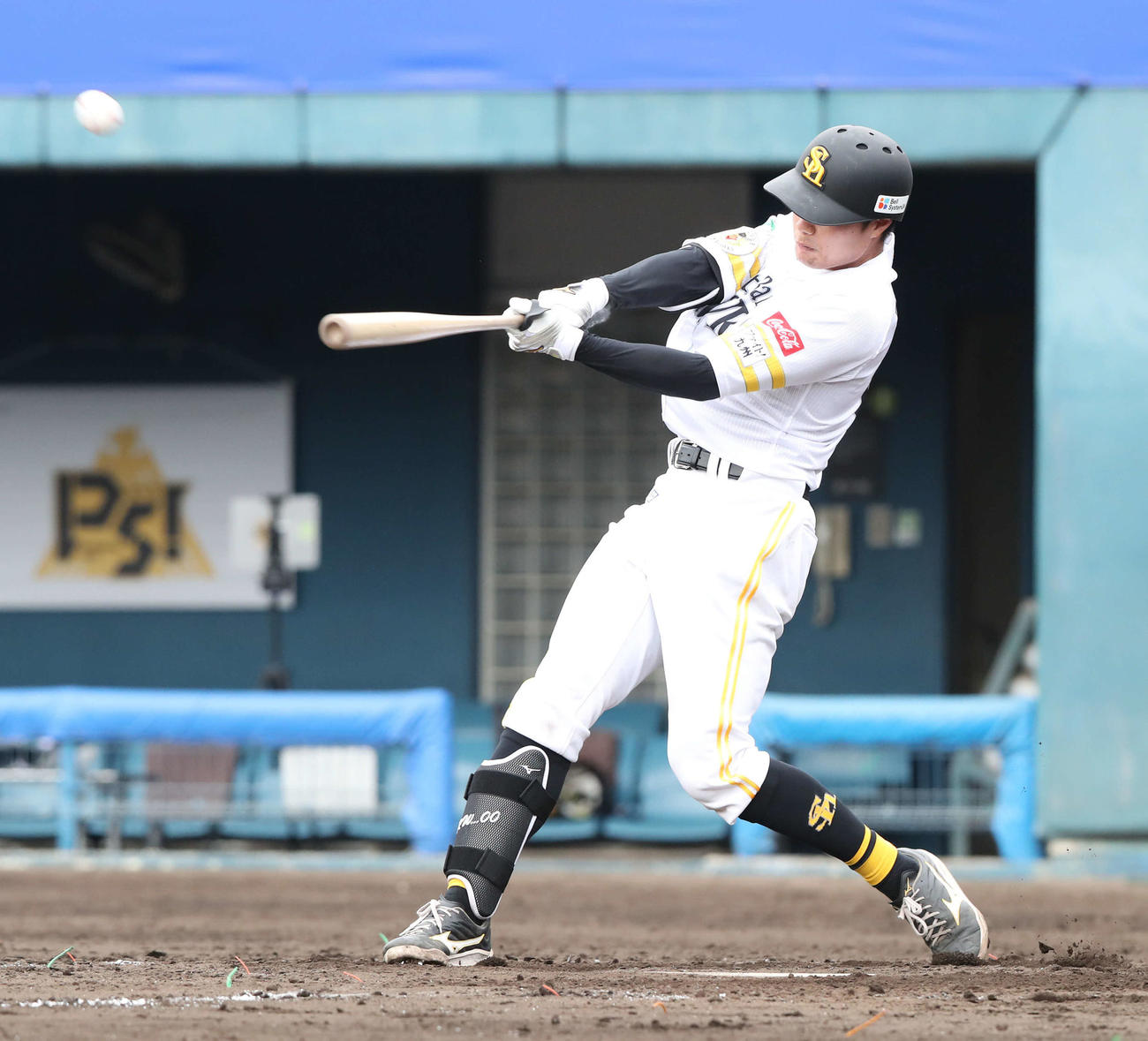 ソフトバンク紅白戦　5回裏白組1死、渡辺は右越え本塁打を放つ（撮影・梅根麻紀）