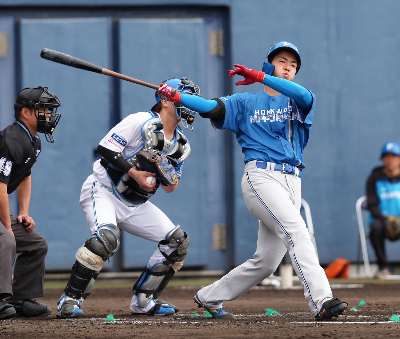 日本ハム紅白戦　紅組対白組　3回表紅組1死一塁、柴田は初球をフルスイングする（撮影・足立雅史）