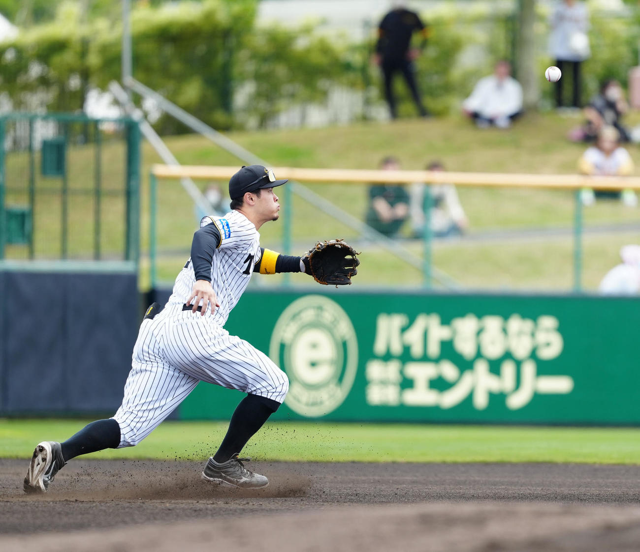 阪神対楽天　1回表楽天1死、中島の打球処理でファンブルした三塁手佐藤輝（撮影・江口和貴）