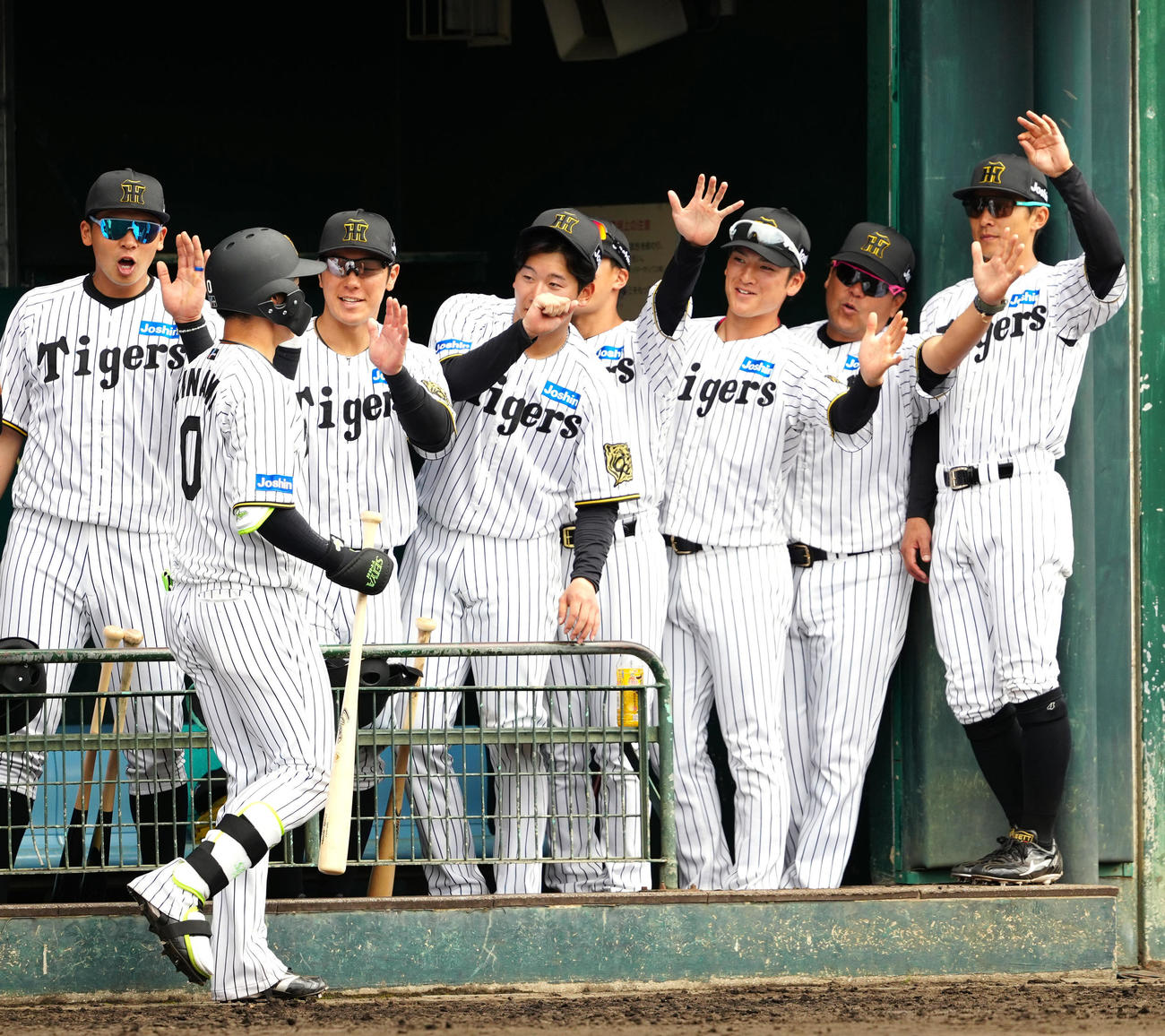 阪神対楽天　2回裏阪神無死、ソロ本塁打を放った木浪（手前）を迎える選手たち（撮影・江口和貴）