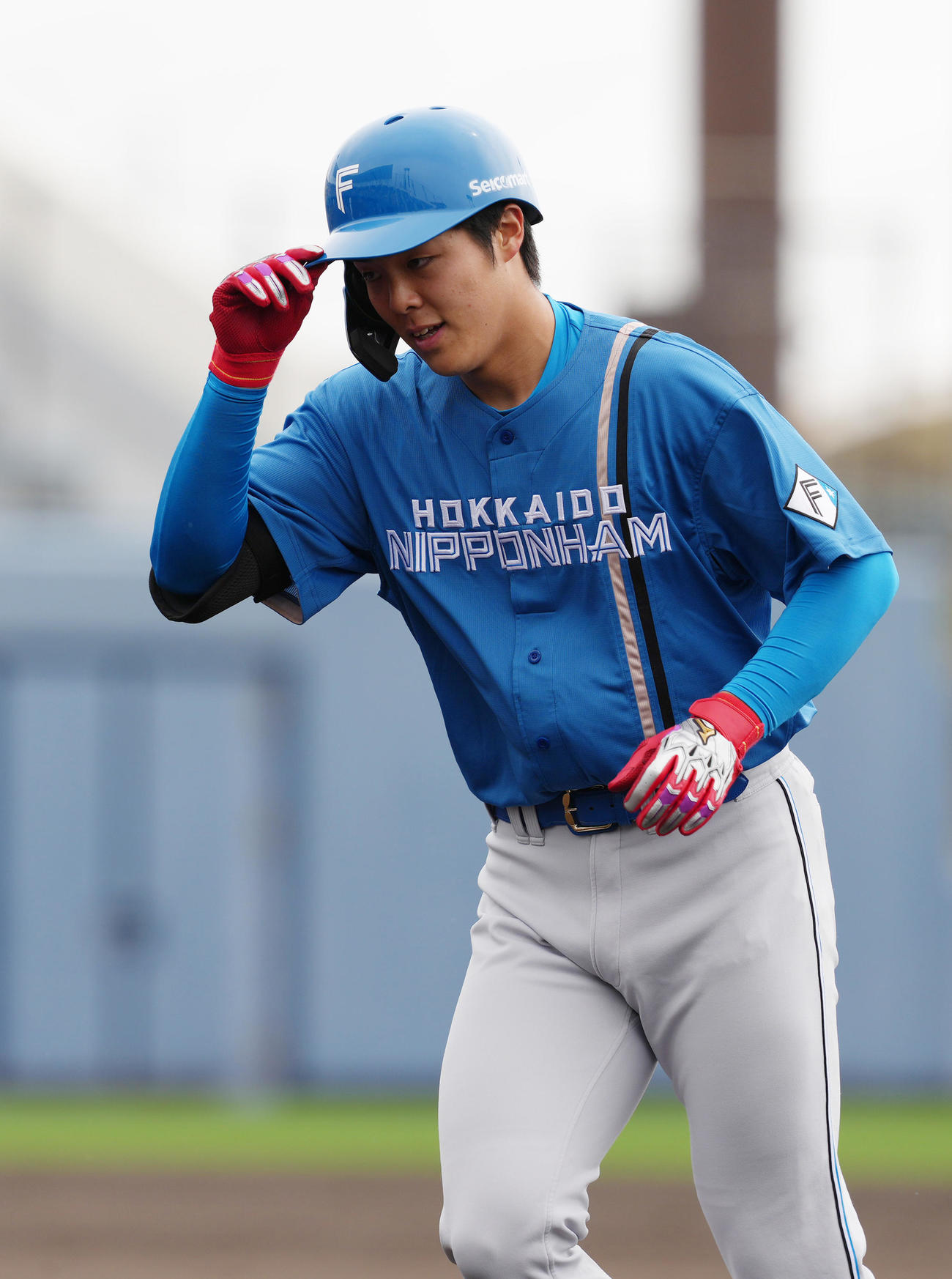 日本ハム紅白戦　紅組対白組　3回表紅組1死一塁、柴田は中飛に倒れる（撮影・足立雅史）