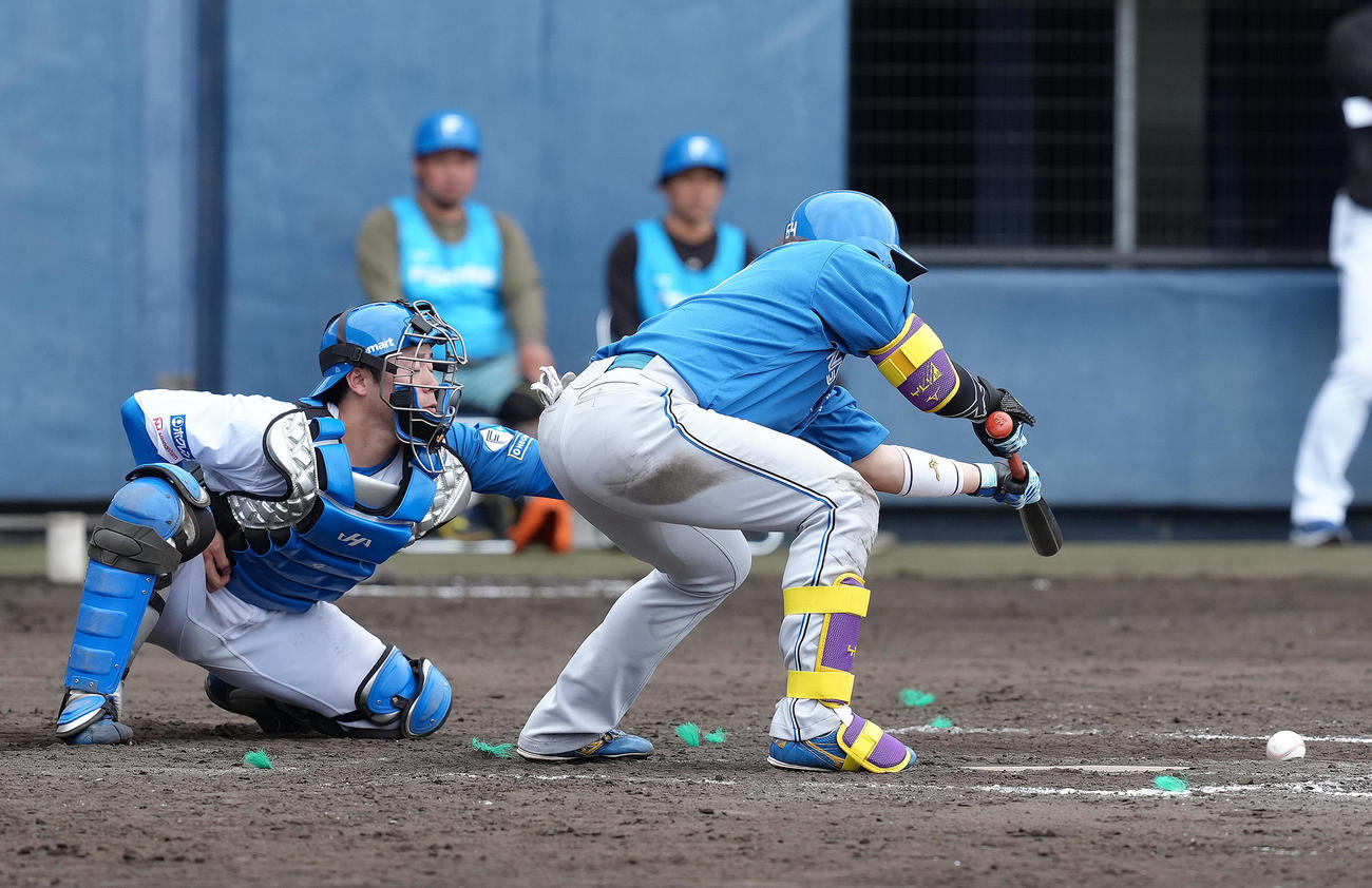日本ハム紅白戦　紅組対白組　9回表紅組無死一、二塁、田宮はバントを決める（撮影・足立雅史）