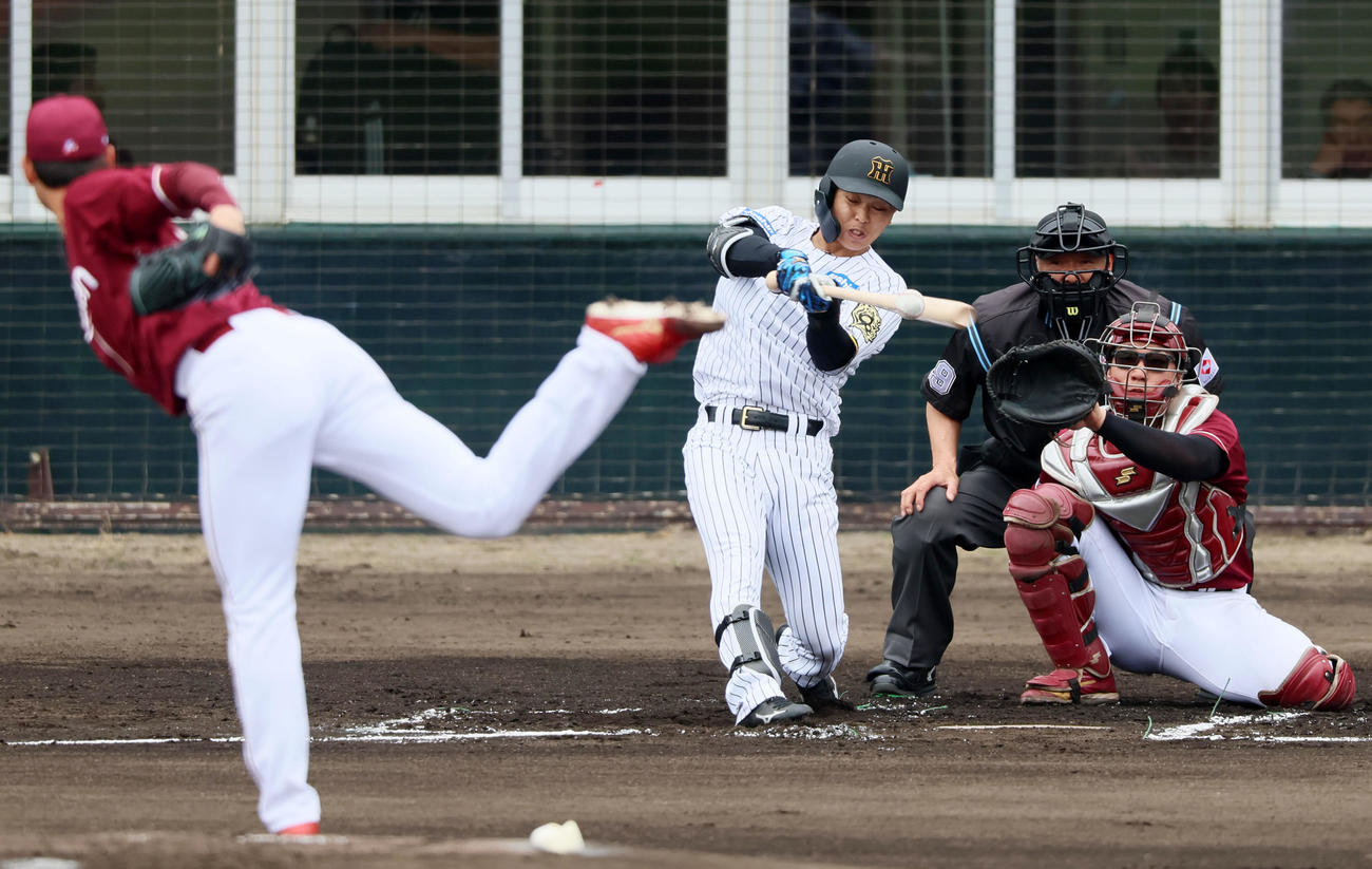 阪神対楽天　1回裏阪神無死、島田は右前打を放つ。投手内（撮影・加藤哉）
