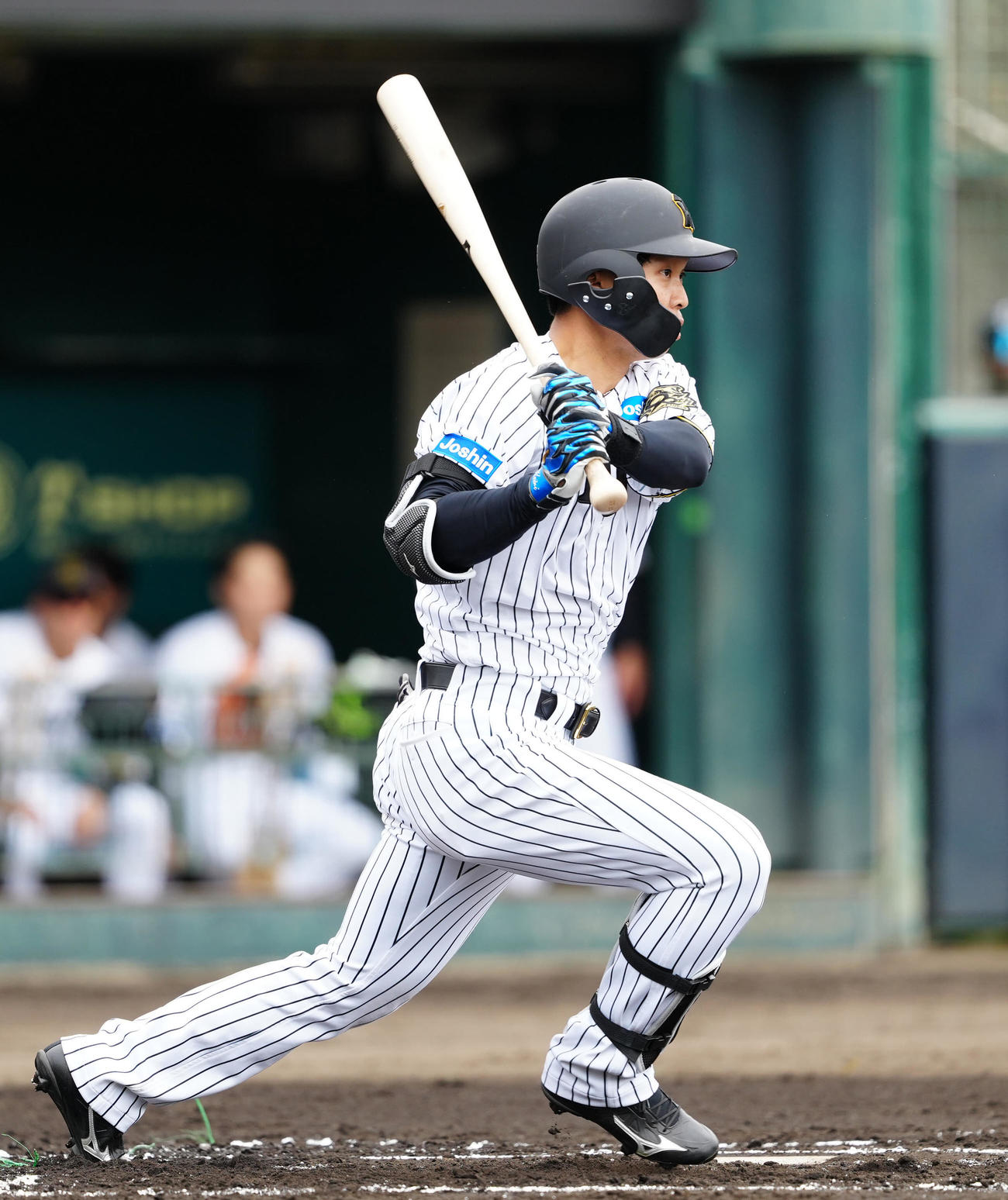 阪神対楽天　1回裏阪神無死、右前打を放つ島田（撮影・江口和貴）