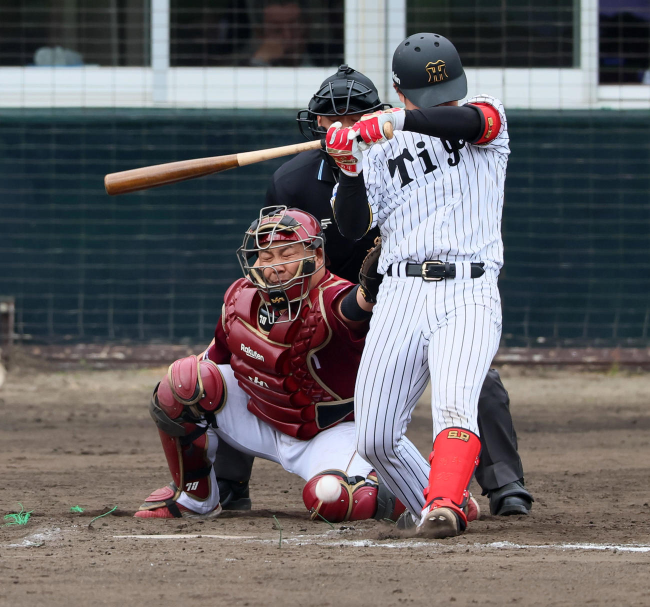 阪神対楽天　7回裏阪神2死一塁、代打中川は死球を受ける（撮影・加藤哉）