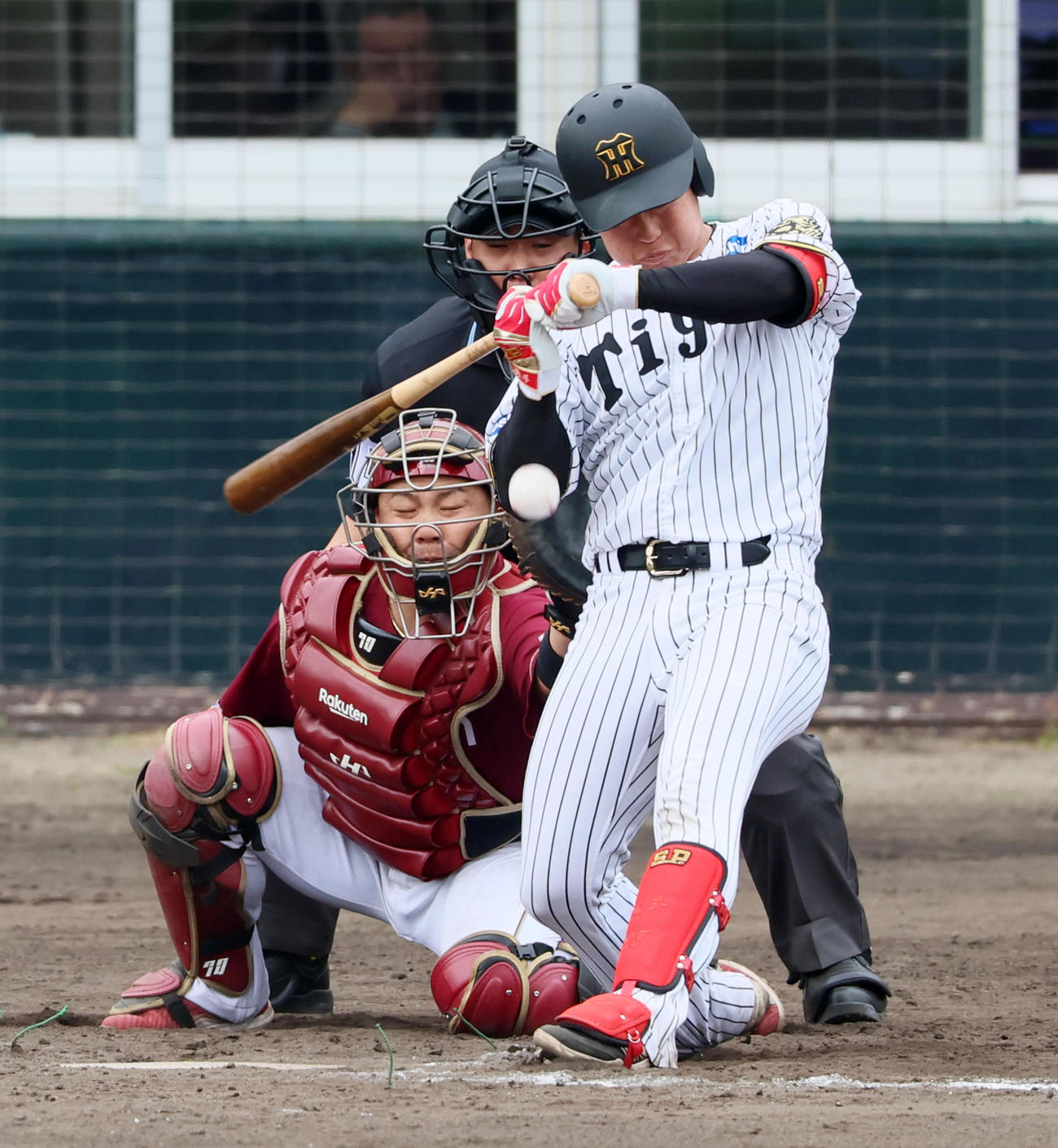 阪神対楽天　7回裏阪神2死一塁、代打中川は死球を受ける（撮影・加藤哉）