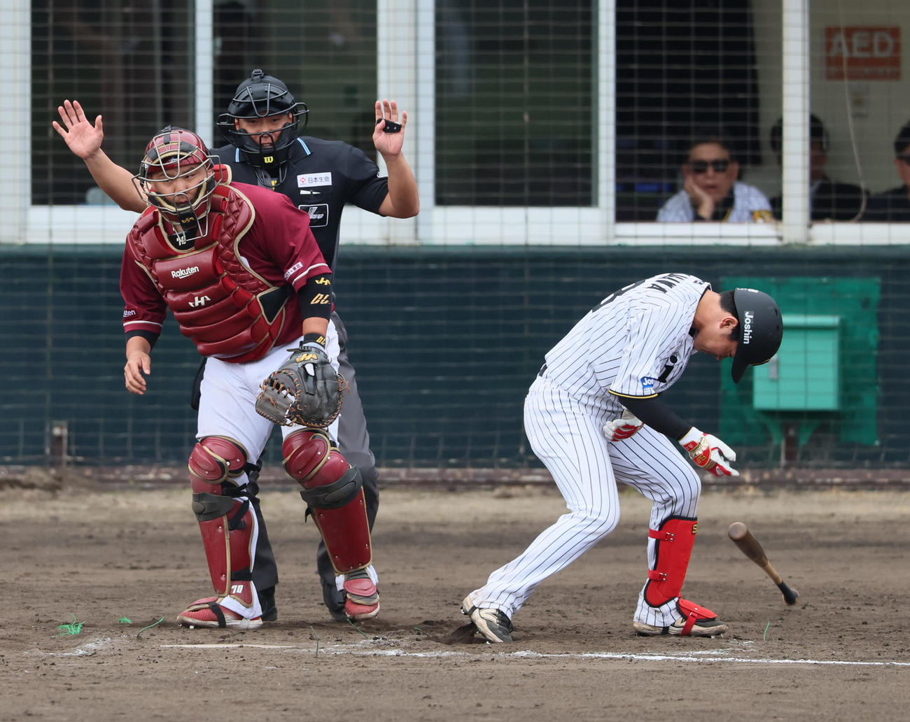 阪神対楽天　7回裏阪神2死一塁、代打中川は死球を受ける。捕手石原（撮影・加藤哉）