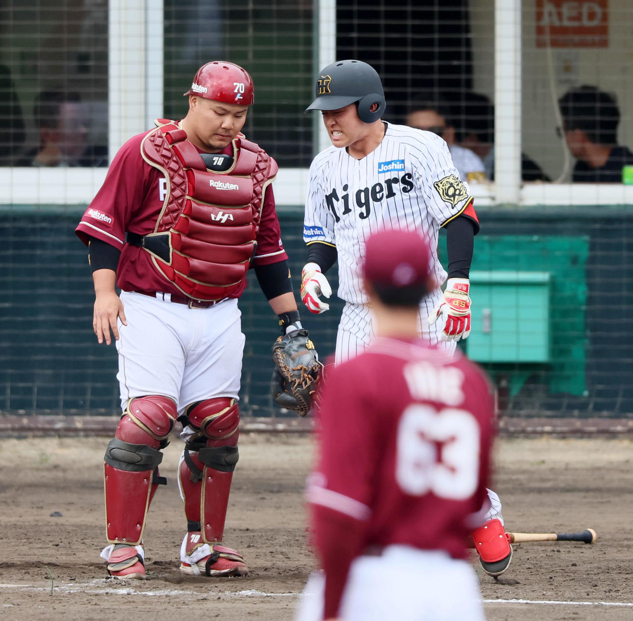 阪神対楽天　7回裏阪神2死一塁、代打中川は死球を受ける。捕手石原（撮影・加藤哉）