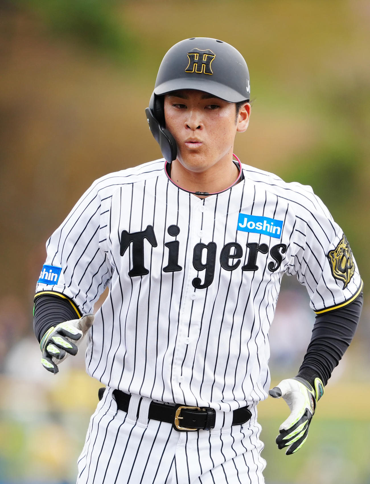 阪神対楽天　6回裏阪神1死一、二塁、適時打を放った代打高寺（撮影・江口和貴）