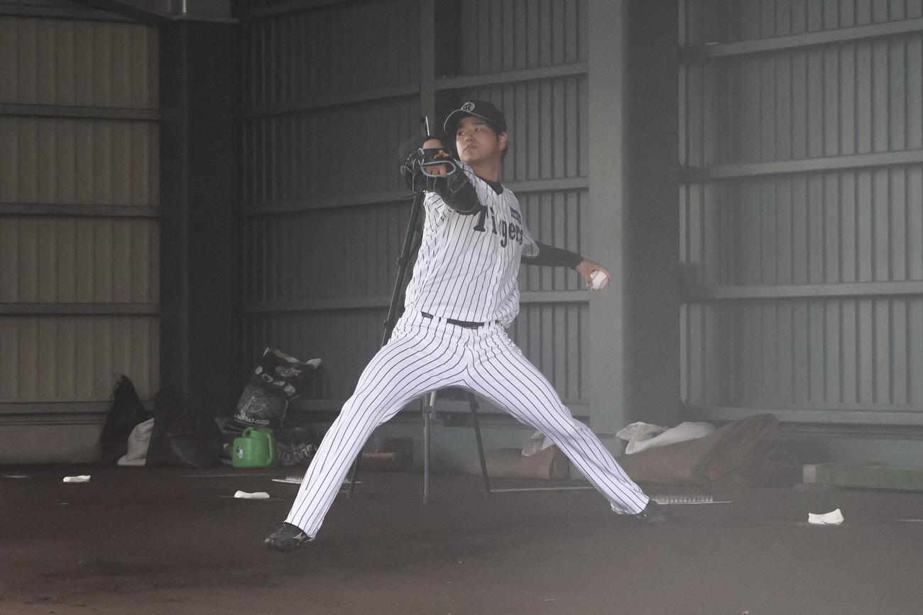具志川のブルペンで投球を行う阪神高橋（撮影・塚本光）