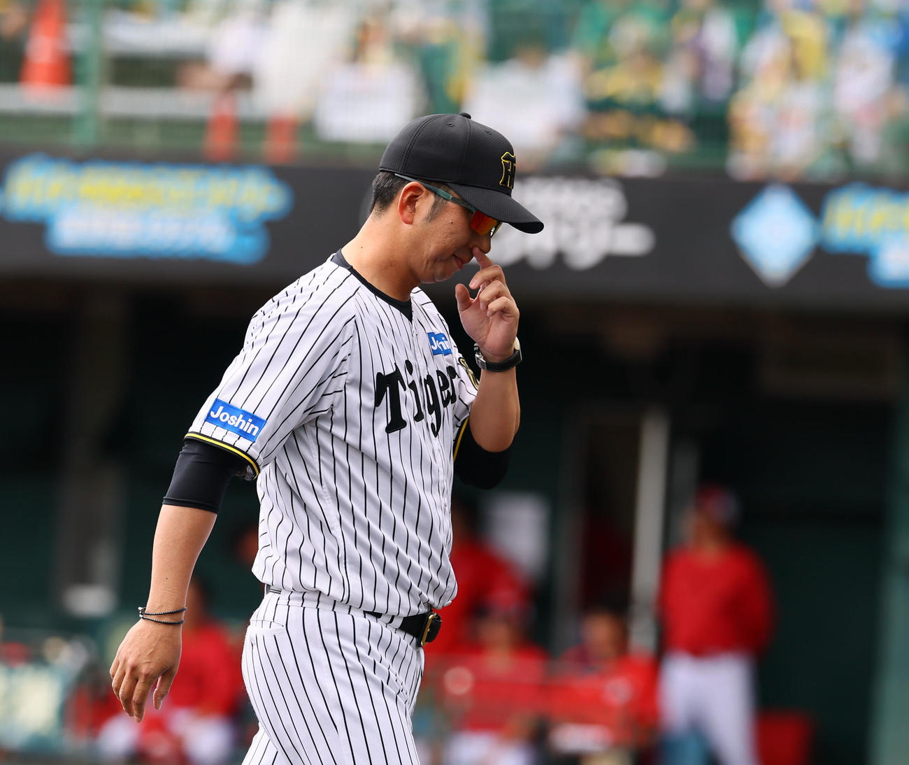 練習試合阪神対広島　5回途中、ベタンセスに降板を告げベンチに戻る藤川監督（撮影・藤尾明華）
