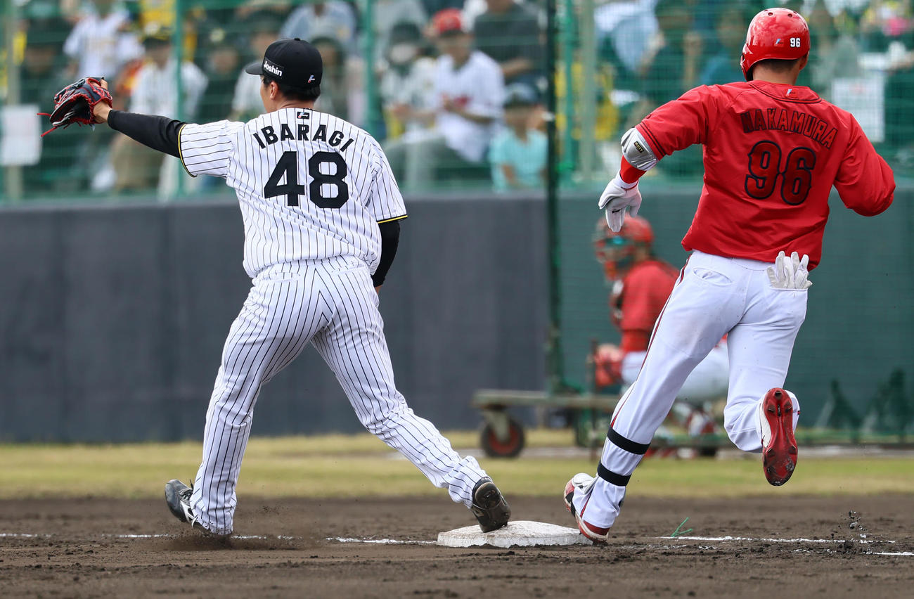 練習試合阪神対広島　4回表広島1死、中村奨の二ゴロでベースカバーに入る茨木（撮影・藤尾明華）
