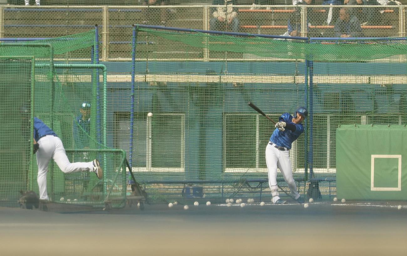 特打で三浦監督の球を受けるDeNA梶原（撮影・河田真司）