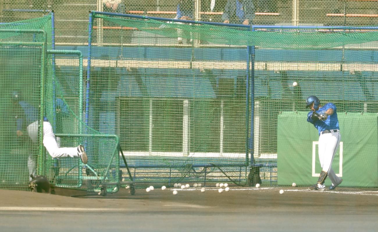 特打で三浦監督の球を受けるDeNA蝦名（撮影・河田真司）