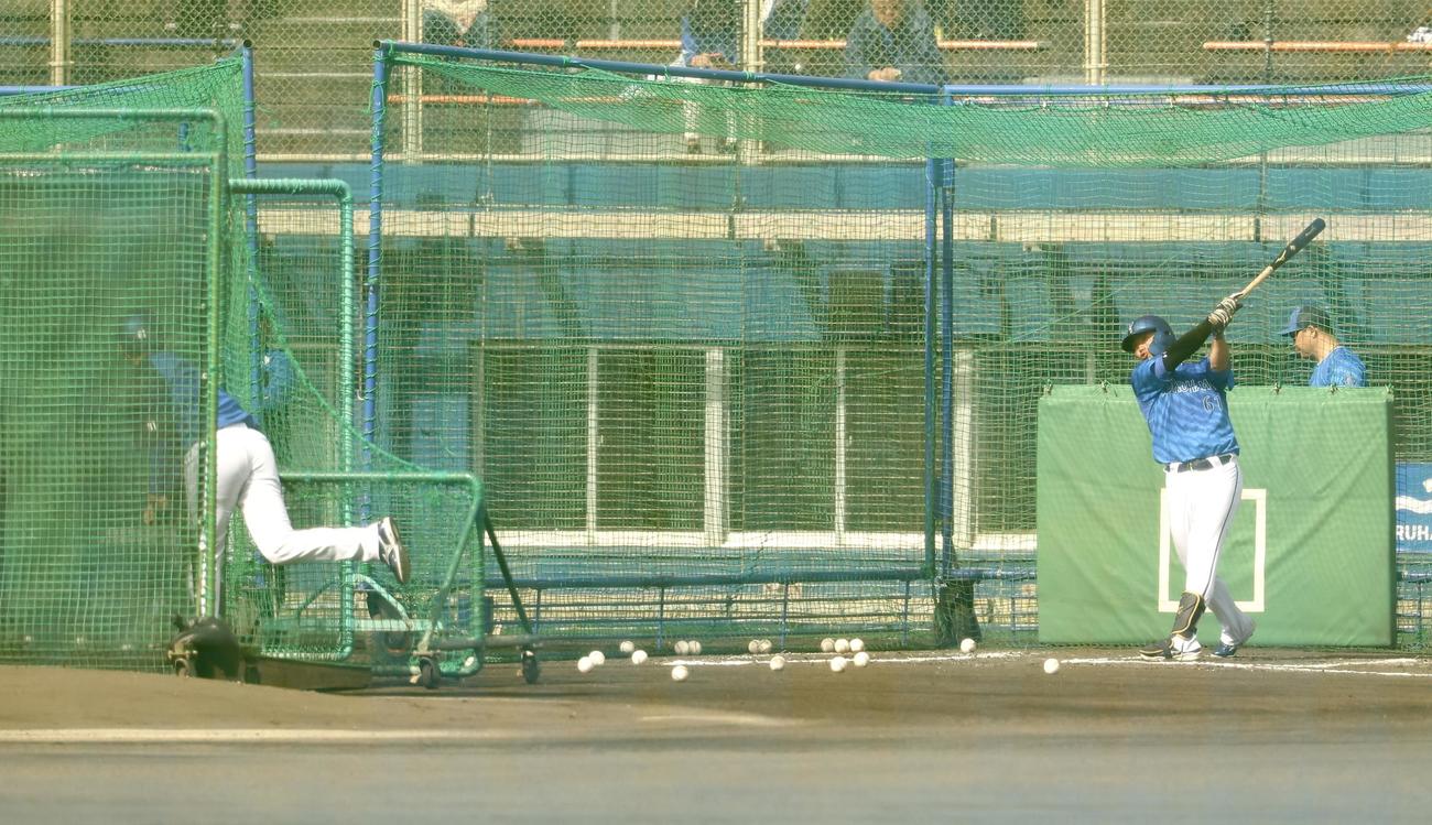 特打で三浦監督の球を受けるDeNA蝦名（撮影・河田真司）