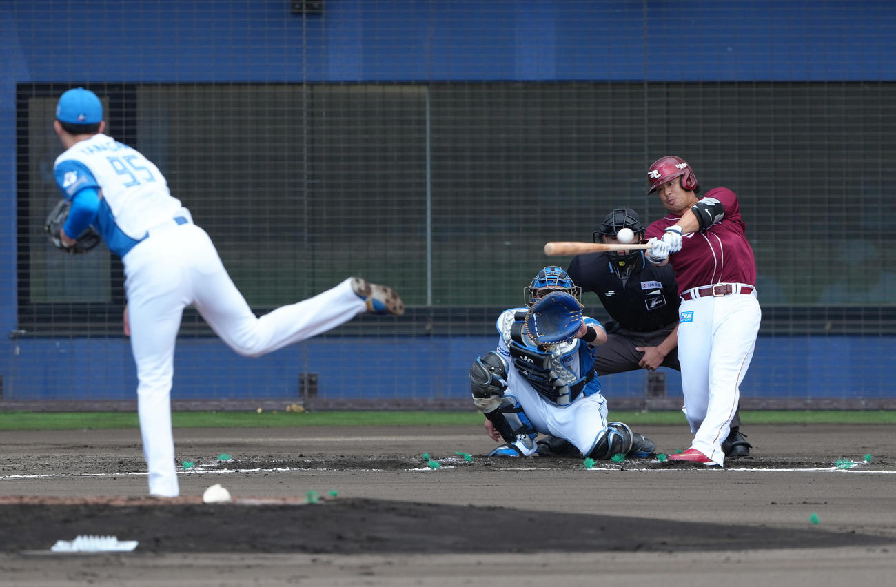 日本ハム対楽天　2回表楽天無死、浅村は左前打を放つ。投手柳川（撮影・足立雅史）