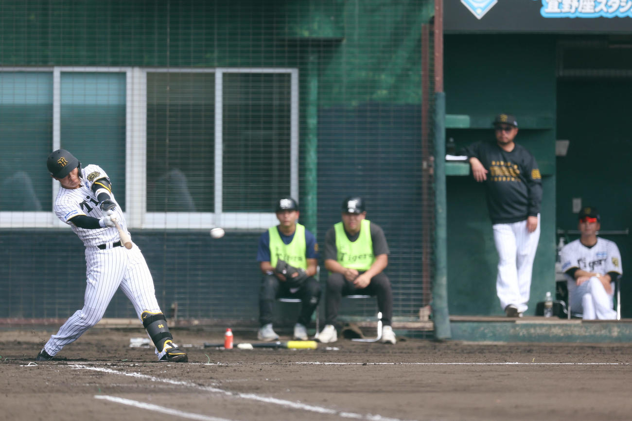 2回裏阪神2死、二塁打を放つ原口。右端は藤川監督（撮影・前田充）