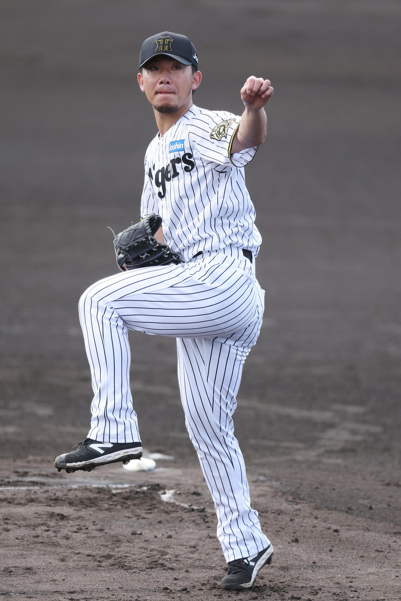 阪神対広島　力投する阪神先発の伊藤将（撮影・前田充）