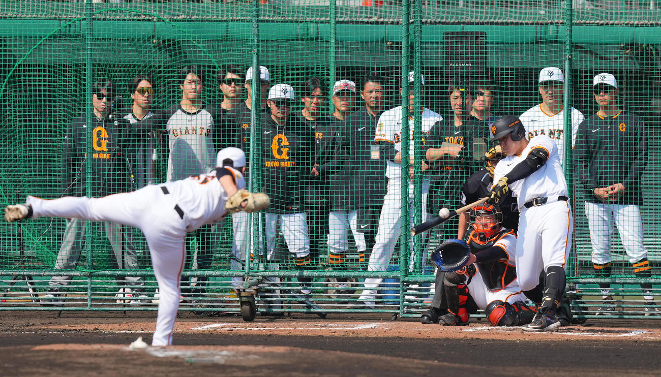 ライブBPで左前打を放つ岡本和。投手井上（撮影・垰建太）