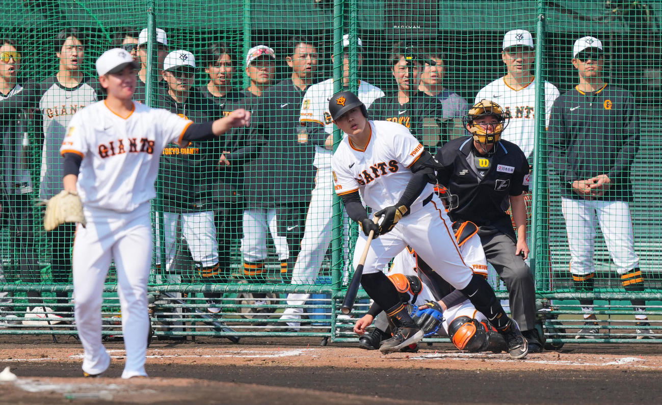 ライブBPで左前打を放つ岡本和。投手井上（撮影・垰建太）