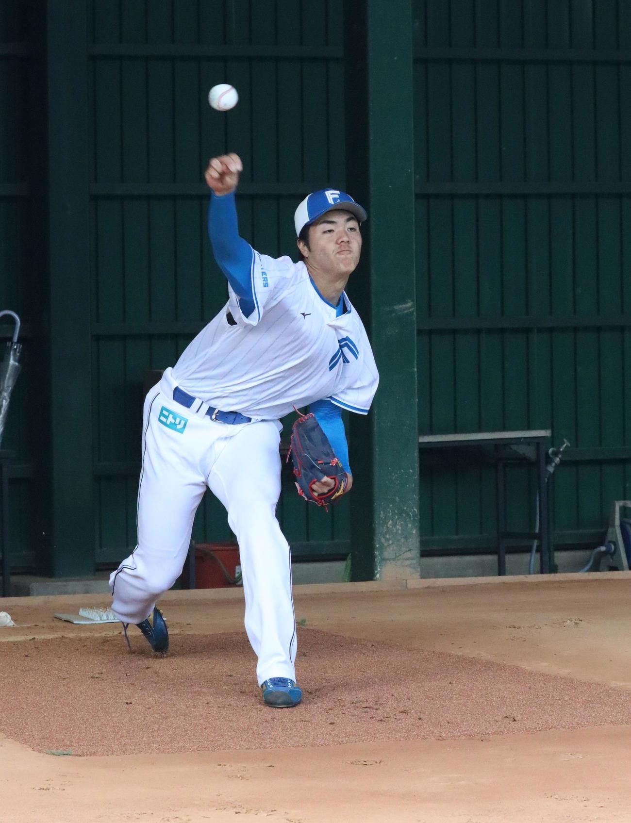 ブルペンで投球練習する日本ハム柴田（撮影・永野高輔）