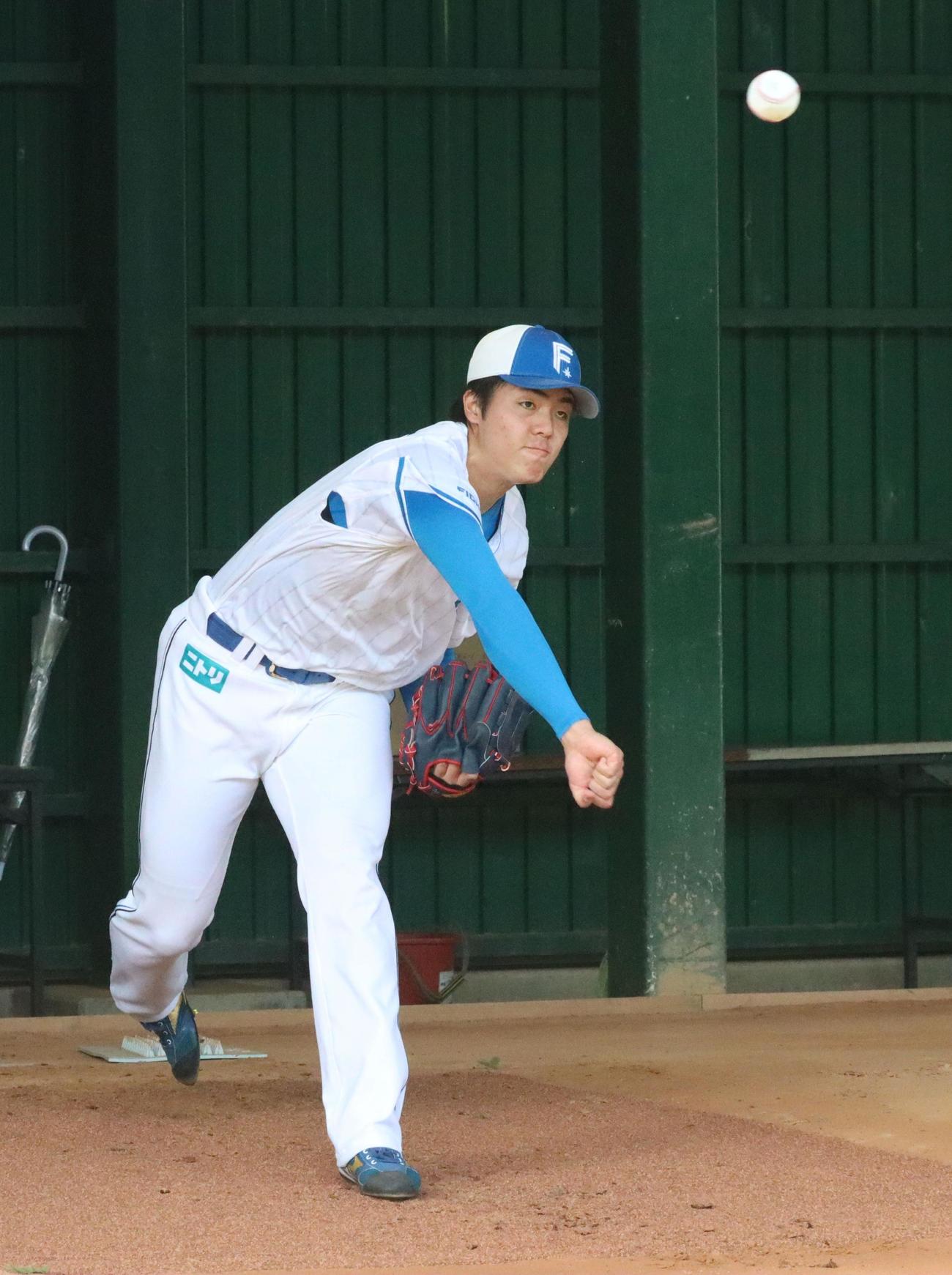ブルペンで投球練習する日本ハム柴田（撮影・永野高輔）
