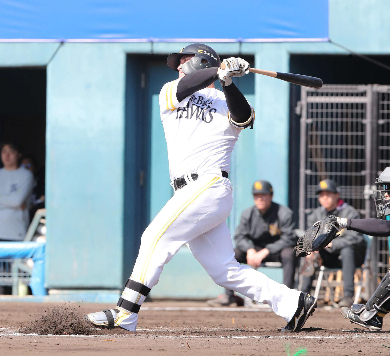 ソフトバンク紅白戦　2回裏白組無死、リチャードは中越え本塁打を放つ（撮影・梅根麻紀）