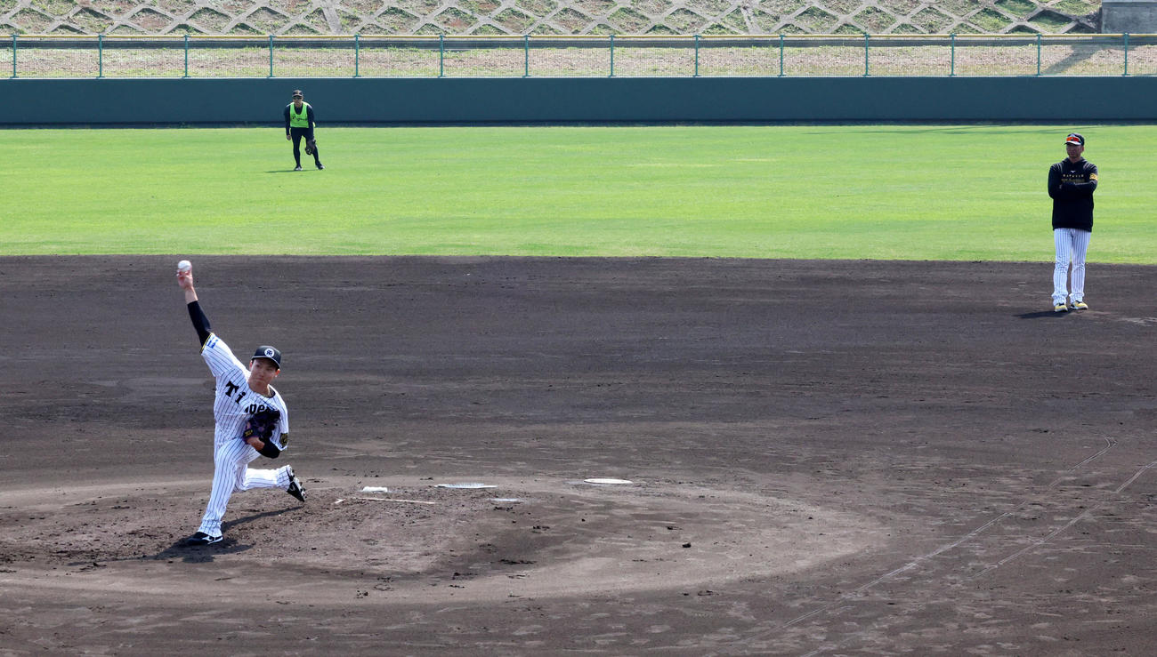 シート打撃練習に登板した湯浅と後方で見守る藤川監督（撮影・加藤哉）