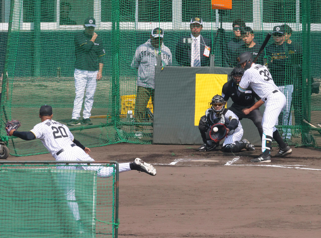 ライブBPで阪神デュプランティエ（手前）は阪神井上に投げる（撮影・上山淳一）