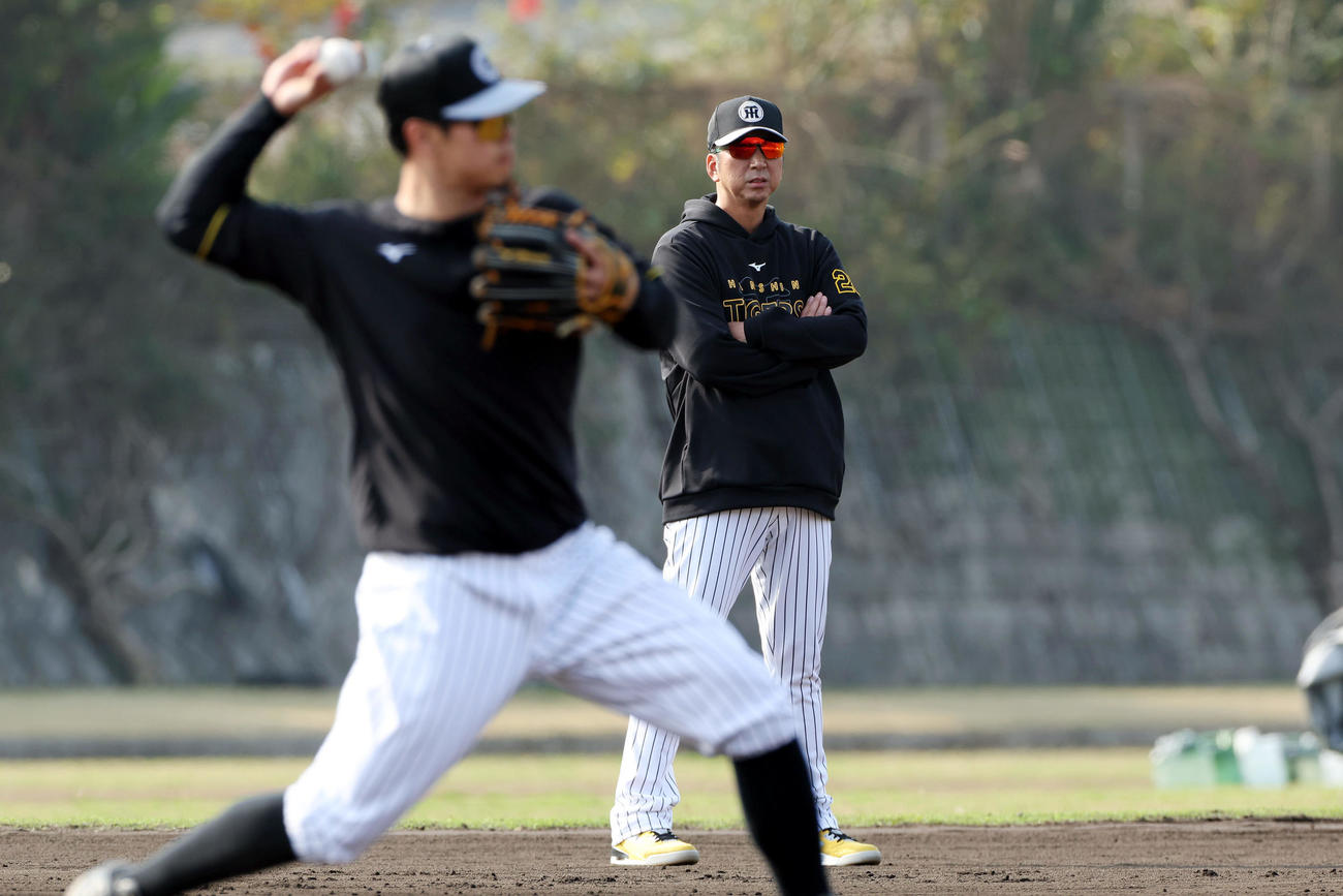 阪神佐藤輝（手前）の早出特守を見守る阪神藤川監督（撮影・前田充）