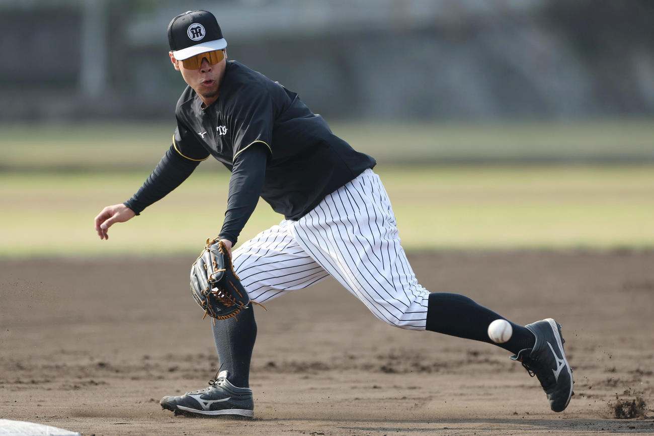 早出特守を受ける阪神佐藤輝（撮影・前田充）