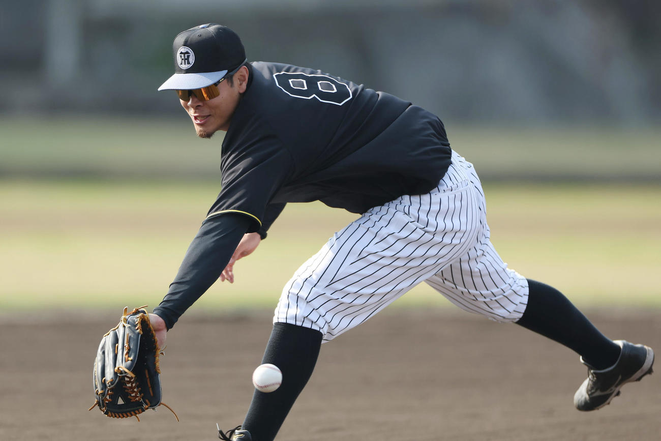 早出特守を受ける阪神佐藤輝（撮影・前田充）