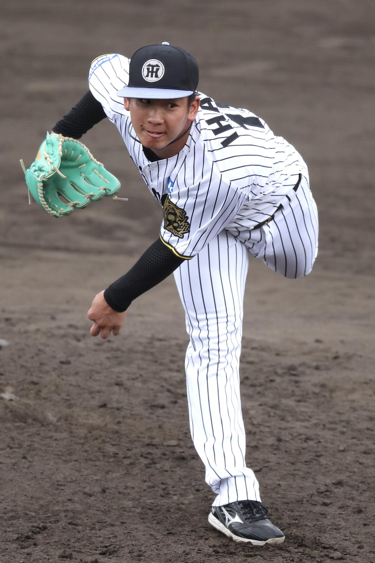阪神春季キャンプ　ライブBPで力投する阪神伊原（撮影・前田充）
