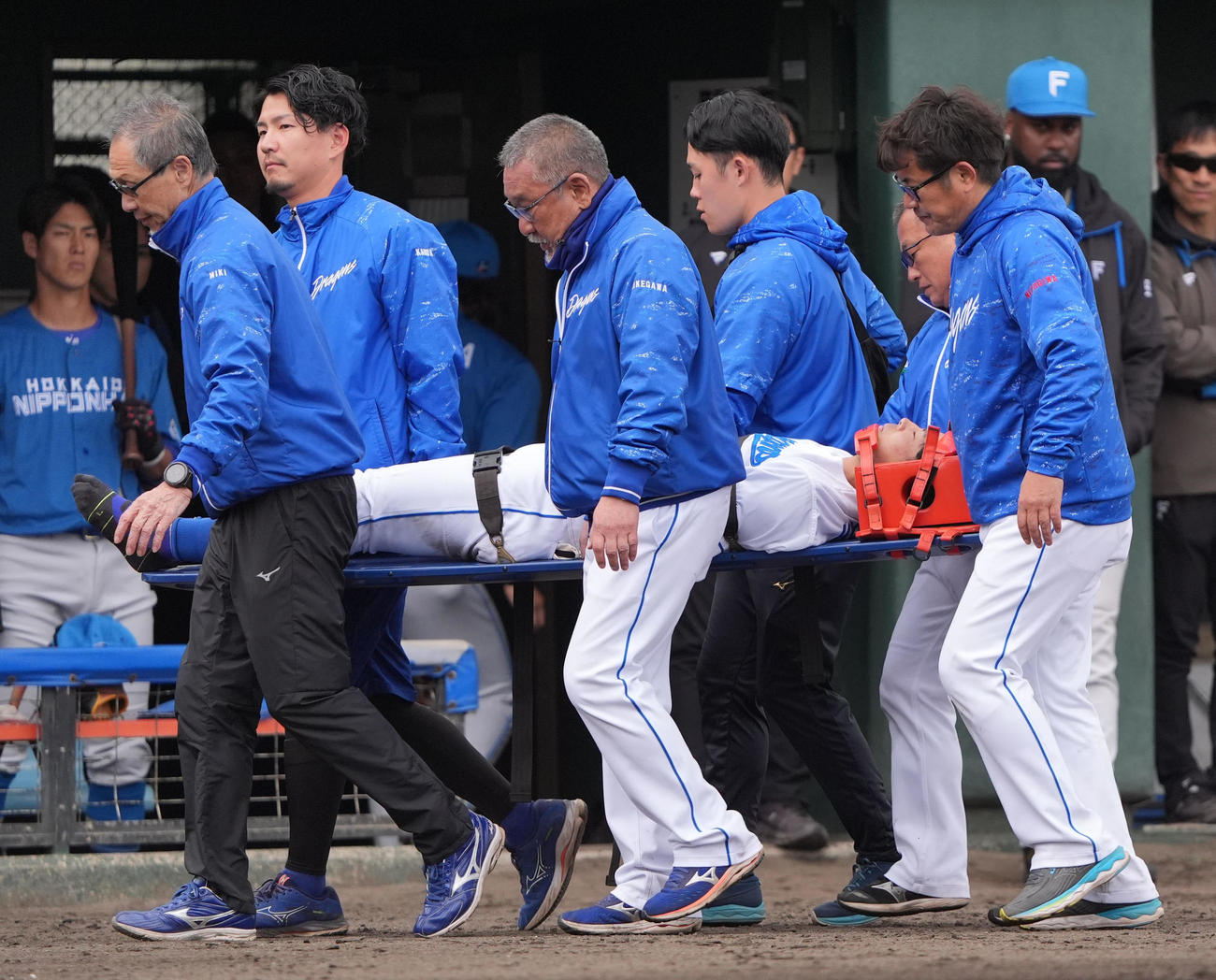 中日対日本ハム　8回表日本ハム2死一塁、マルティネスの打球を追いフェンスに激突し担架で運ばれる樋口（撮影・森本幸一）