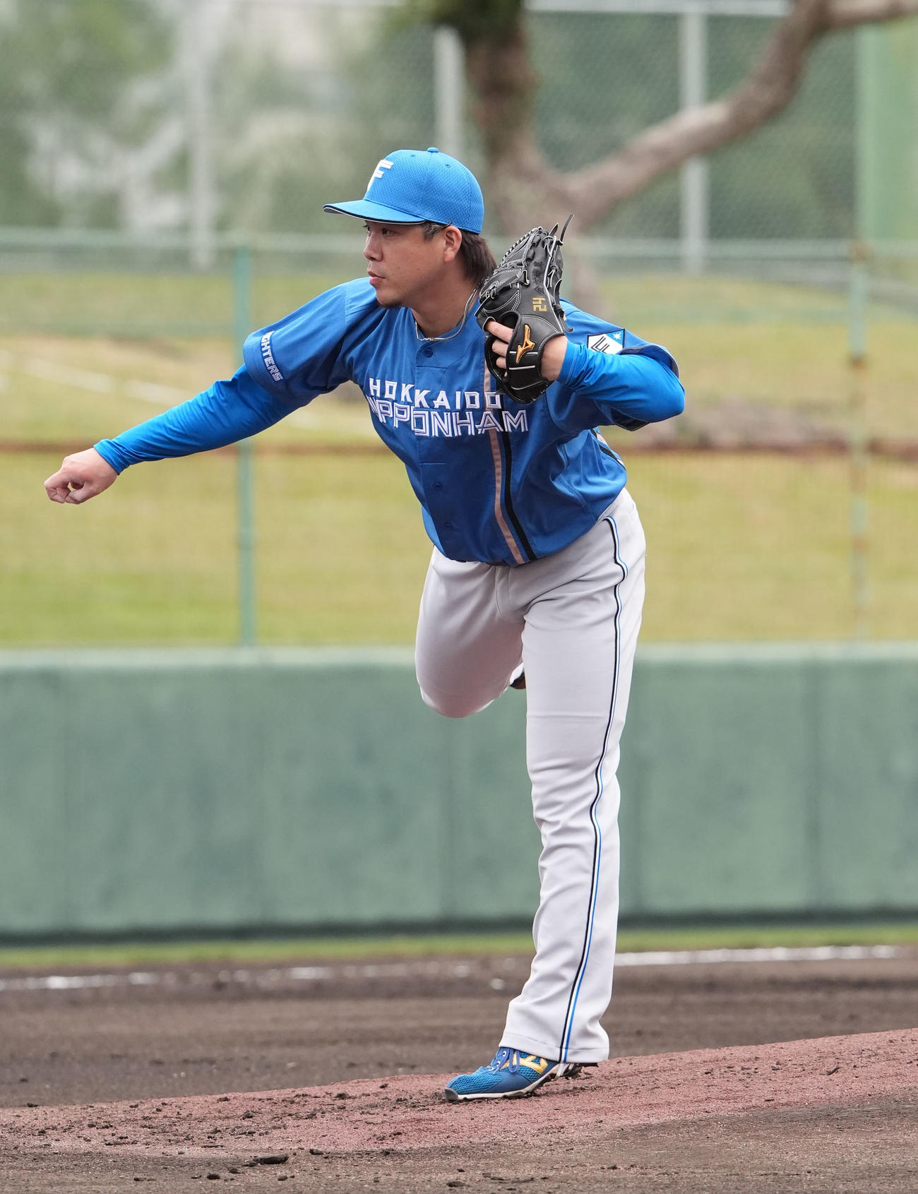 中日対日本ハム　1回裏、登板する日本ハム先発の金村（撮影・森本幸一）