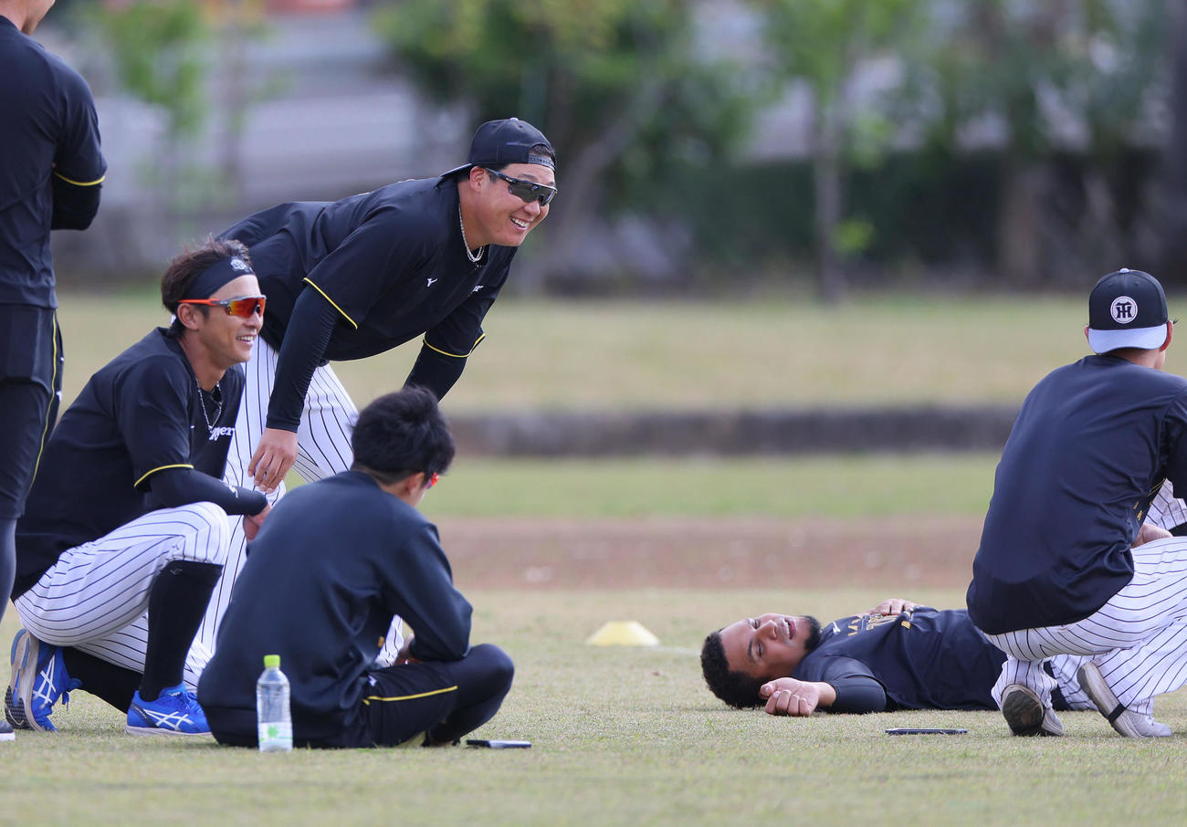 走り込みを終え倒れ込むヘルナンデス（右下）を見て笑顔を見せる阪神大山（左から2人目）と熊谷（撮影・上山淳一）