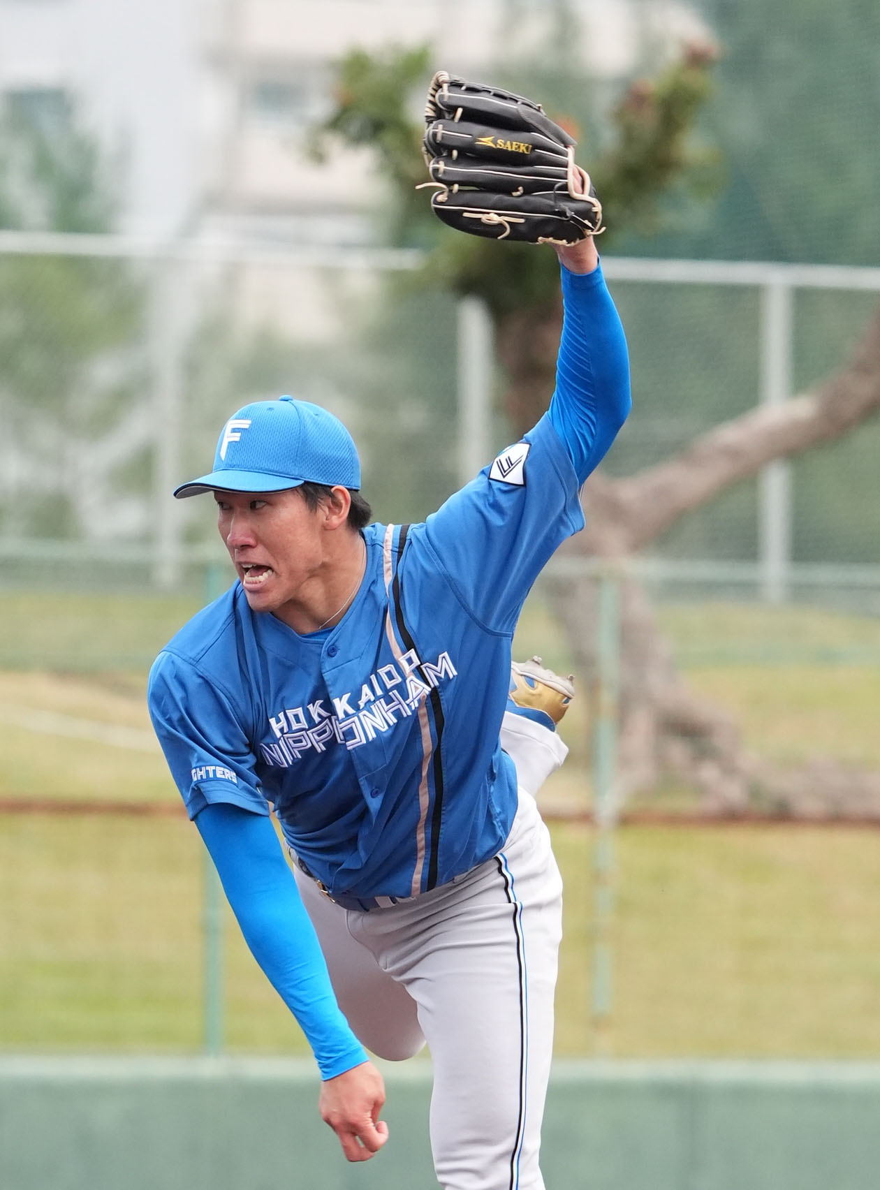 中日対日本ハム　8回裏、日本ハム7番手で登板する清宮虎（撮影・森本幸一）