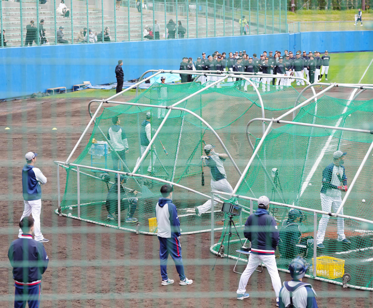 ロッテの選手たちも見つめる中、打撃練習に臨むヤクルト村上（中央左）（撮影・江口和貴）