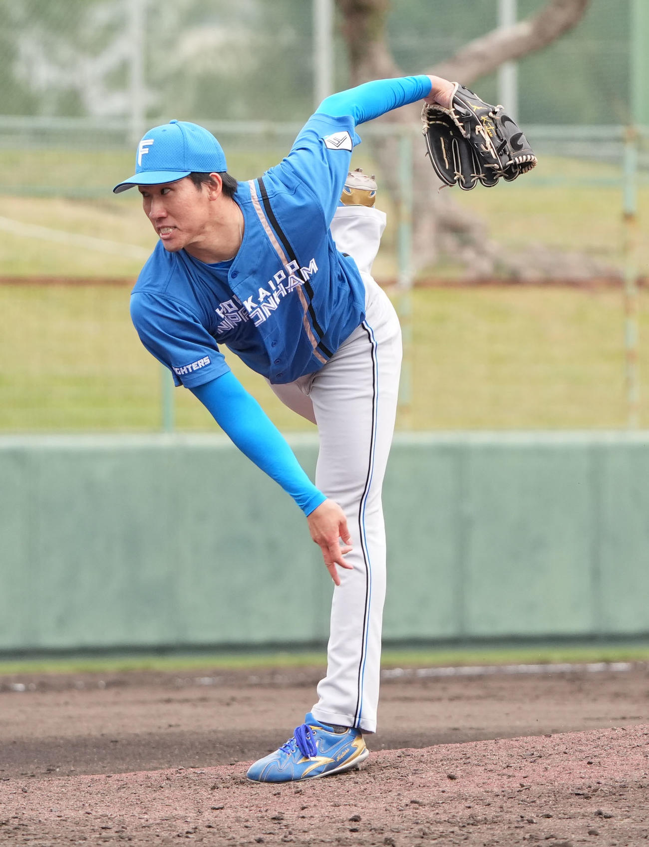 中日対日本ハム　8回裏、日本ハム7番手で登板する清宮虎（撮影・森本幸一）
