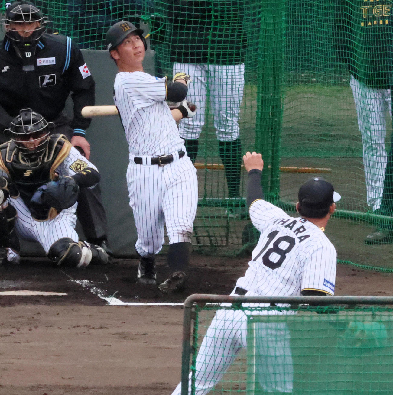 ライブBPで左越え本塁打を放つ井坪。投手伊原（撮影・加藤哉）