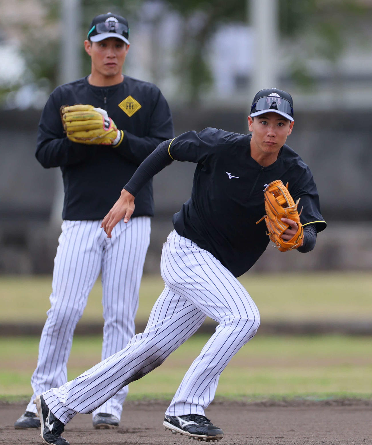 けん制練習で軽快に動く阪神阪神山田。奥は木浪（撮影・上山淳一）