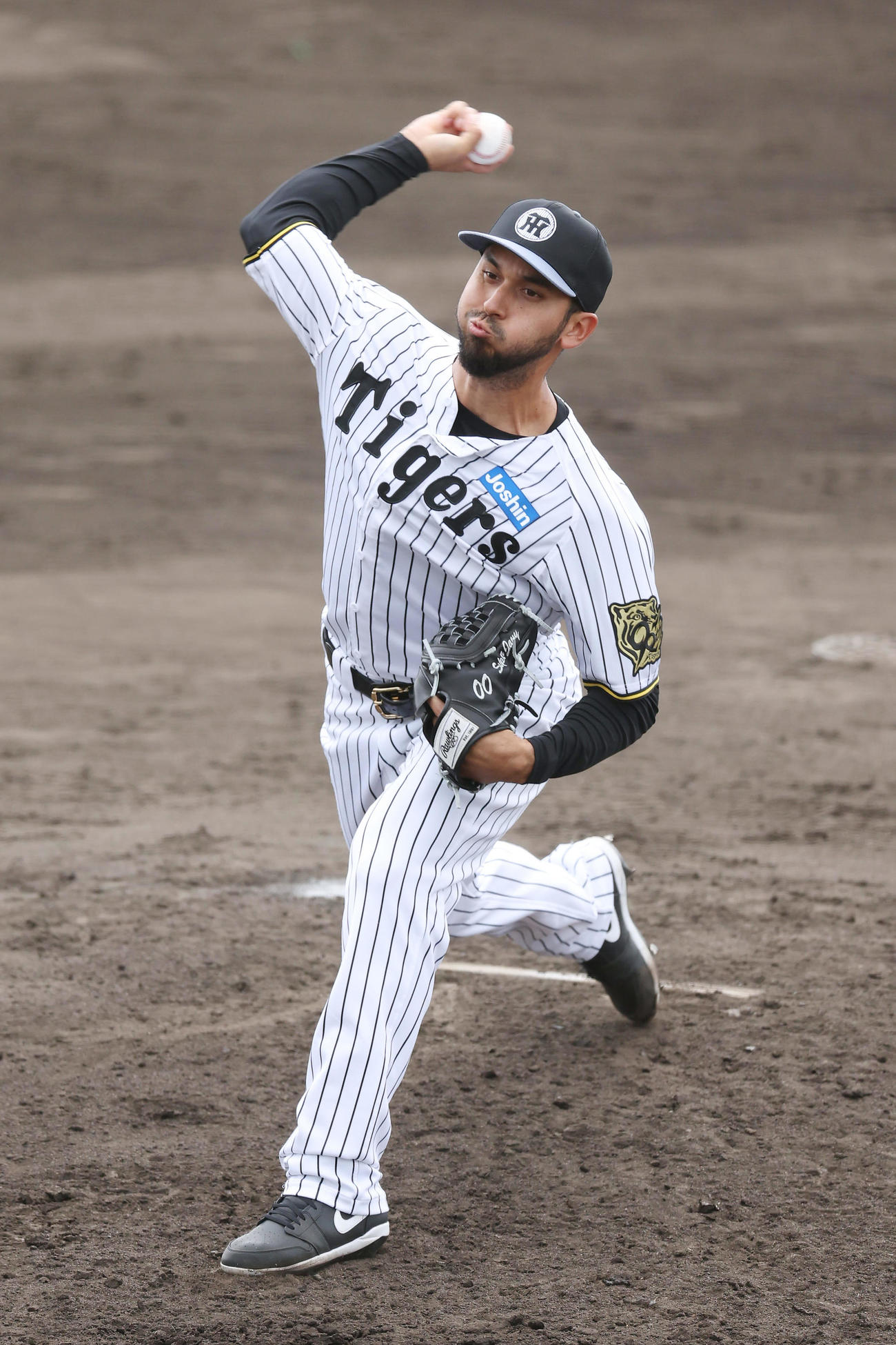 ライブBPで力投する阪神ゲラ（撮影・前田充）