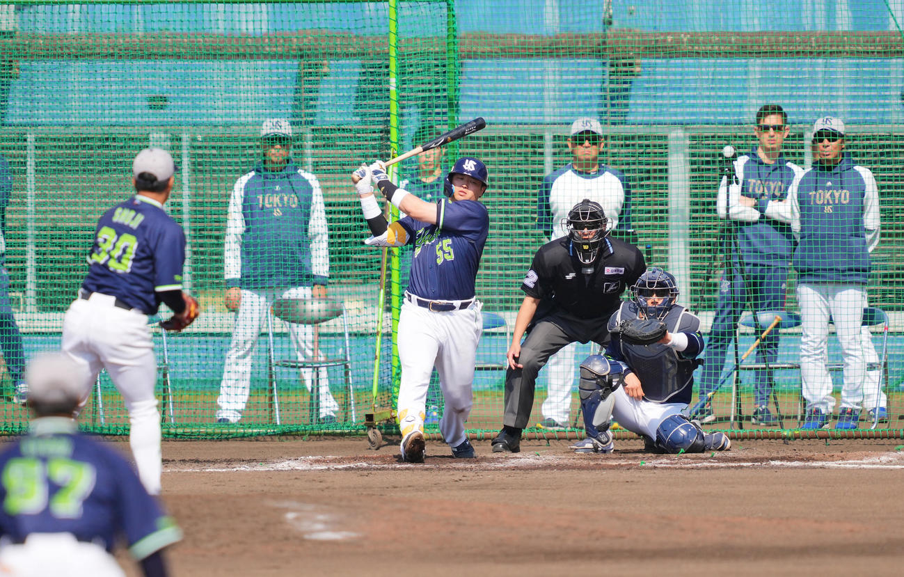 シート打撃で空振り三振に倒れる村上。投手荘司（撮影・垰建太）