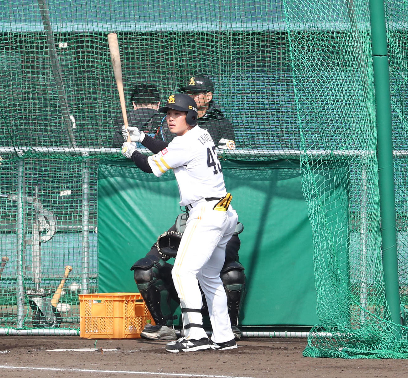 2月3日、打撃練習をする井上（撮影・梅根麻紀）
