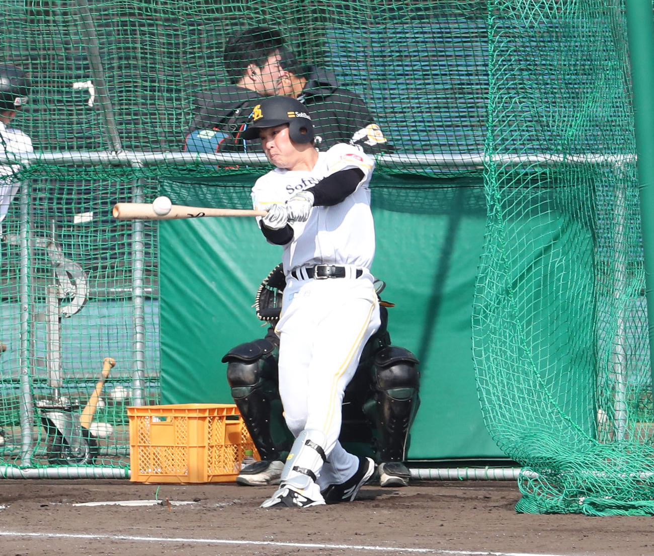 2月3日、打撃練習をする井上（撮影・梅根麻紀）
